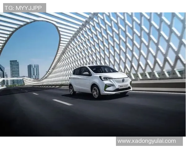 球星们最爱的足球鞋品牌与款式揭秘 谁穿的最多最受欢迎