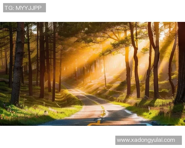 足球巨星们的度假之旅:探寻绿茵场外的宁静与奢华生活 足球巨星们的度假之旅:探寻绿茵场外的宁静与奢华生活